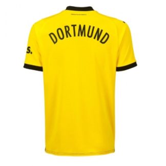 Herren Borussia Dortmund 2023-24 Heimtrikots Kurzarm gelb schwarz